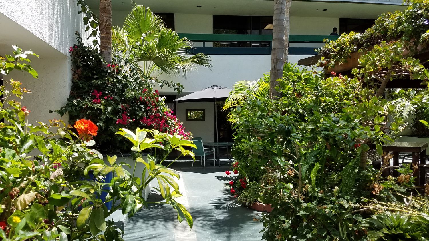 LARGE OPEN OFFICE, SEVERAL USES. FLAT RATE, EASY LEASE